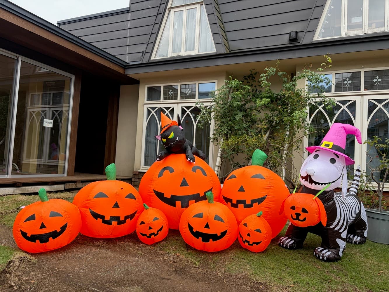 The thumbnail image of 🎃✨ハロウィンの季節がやってきました✨🎃