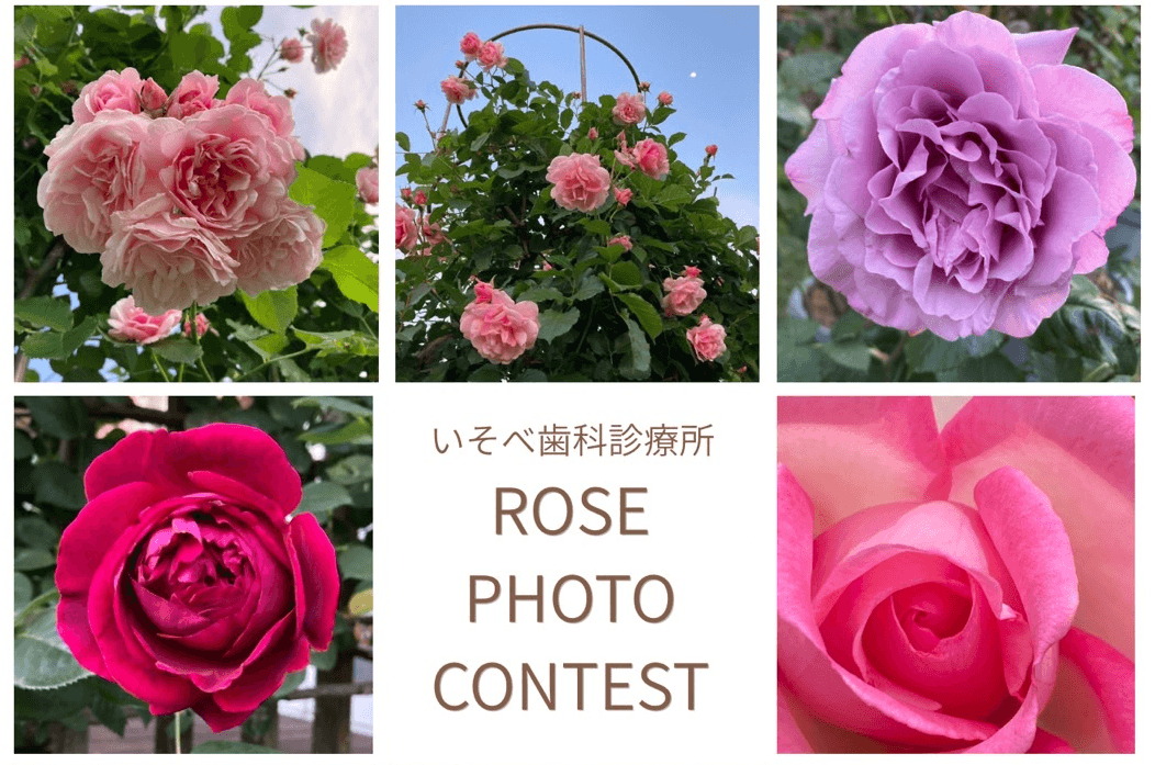 The thumbnail image of バラの写真コンテスト投票開始！