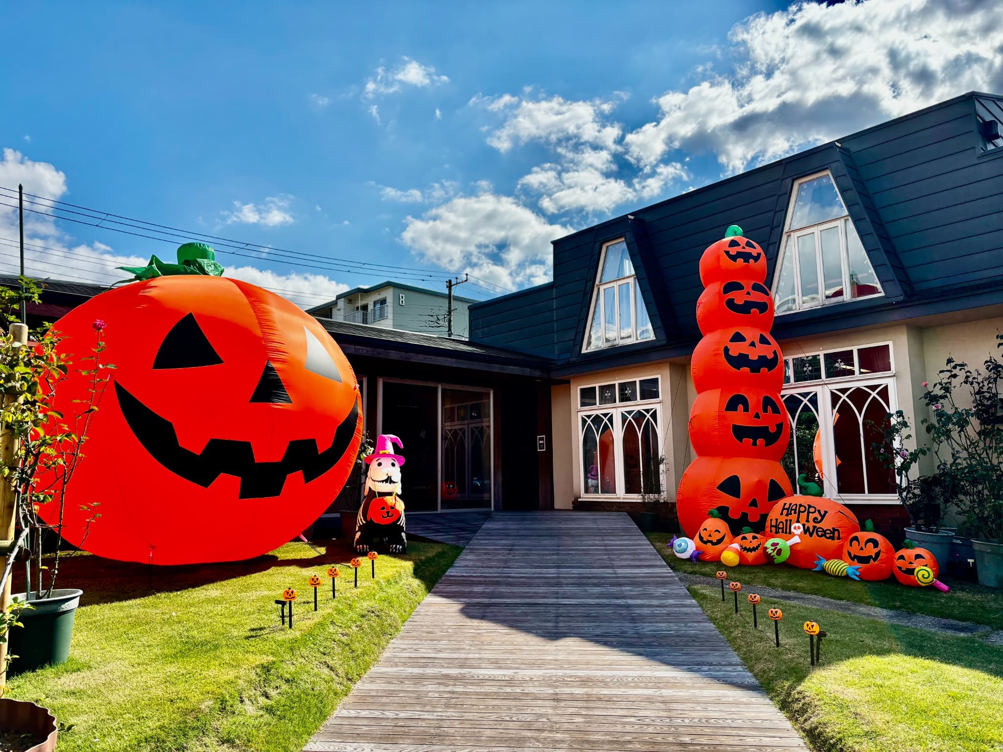 The thumbnail image of 今年もハロウィンがやってきました👻🎃 お菓子のプレゼントも開催します🍬