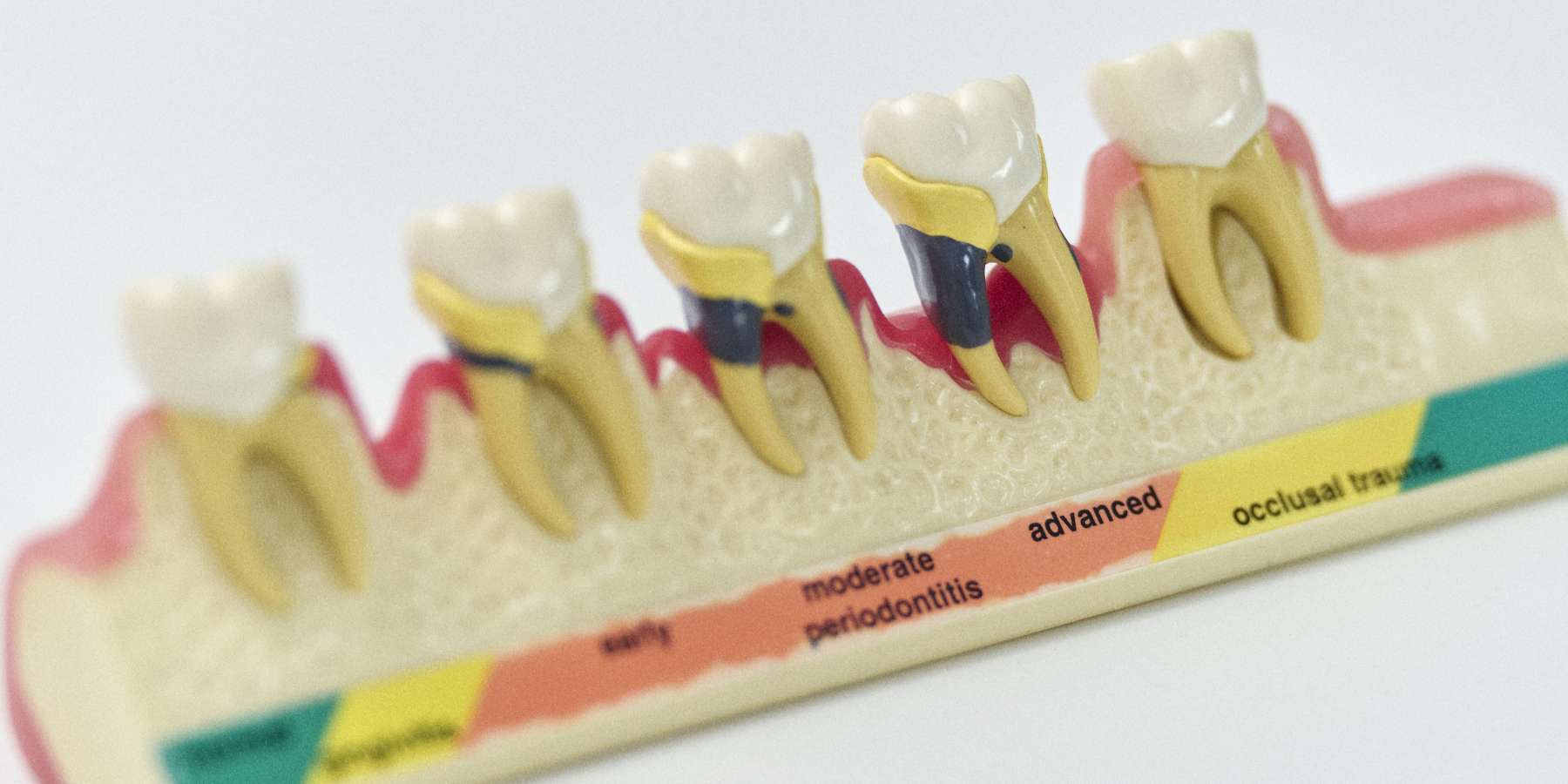 Thumbnail of the study program page